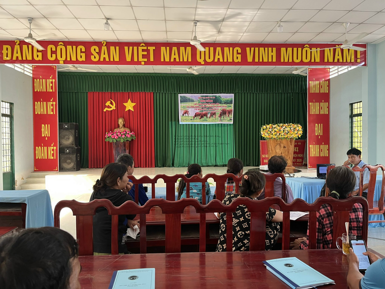 Cô Tô tổ chức khai giảng lớp kỹ thuật chăn nuôi bò sinh sản